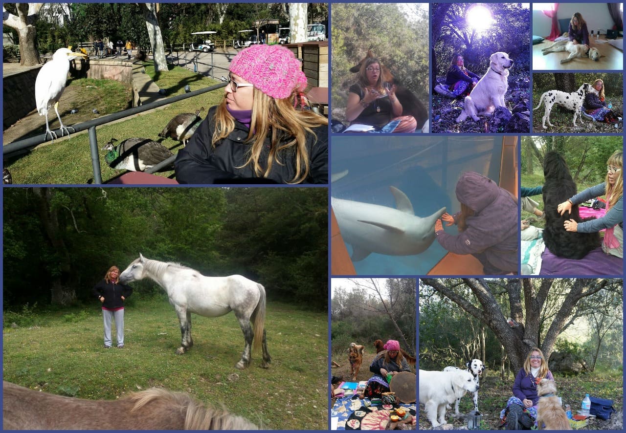 Asia con animales naturaleza
